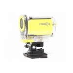 ������ �����-������ Scout 282