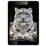 ������ �������� TX12