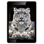 ������ �������� TX97