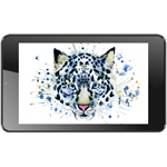 ������ �������� TZ06