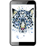 ������ �������� TZ62s