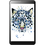 ������ �������� TZ80