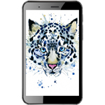 ������ �������� TZarts