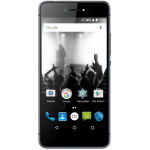 ������ �������� Fest