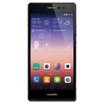 ������ �������� P7