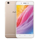 ������ �������� Y55