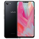 ������ �������� Y81