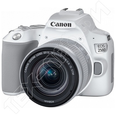 ������ Canon EOS 250D