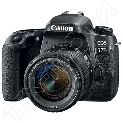 ������ Canon EOS 77D