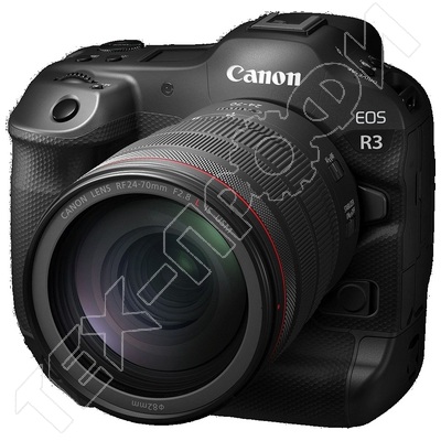 ������ Canon EOS R3