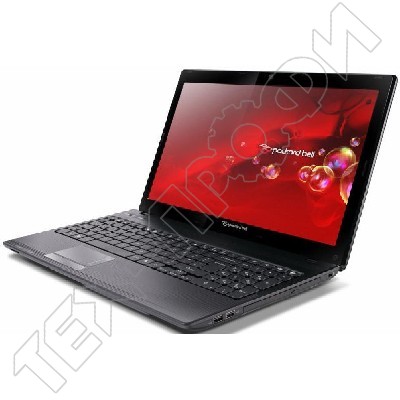 ������ Packard Bell Easynote Tk81