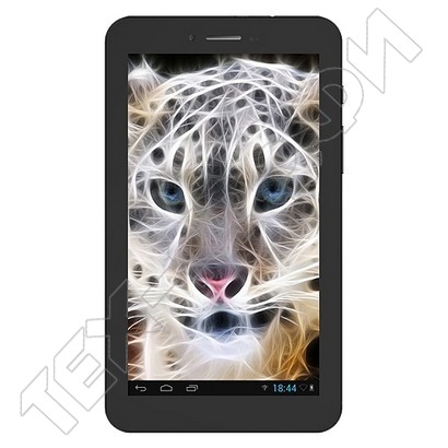 ������ Irbis TG79