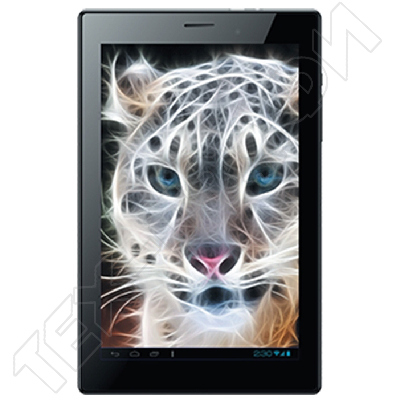 ������ Irbis TX80b