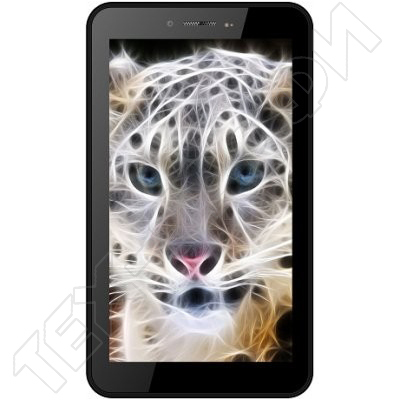 ������ Irbis TX81