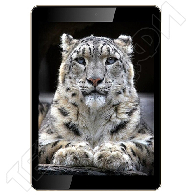 ������ Irbis TX97