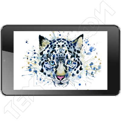 ������ Irbis TZ06