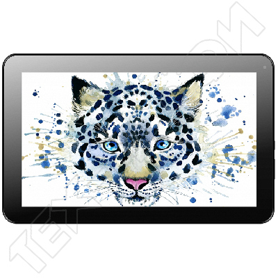 ������ Irbis TZ100