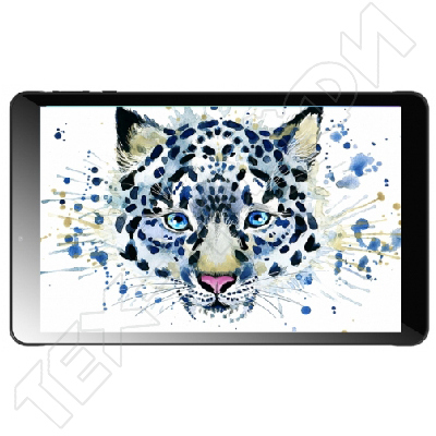 ������ Irbis TZ101