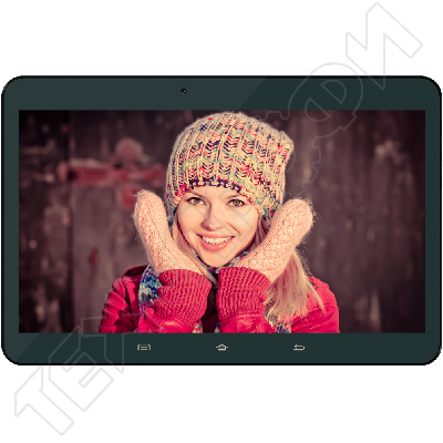 ������ Irbis TZ12