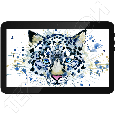 ������ Irbis TZ141