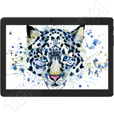 ������ Irbis TZ171