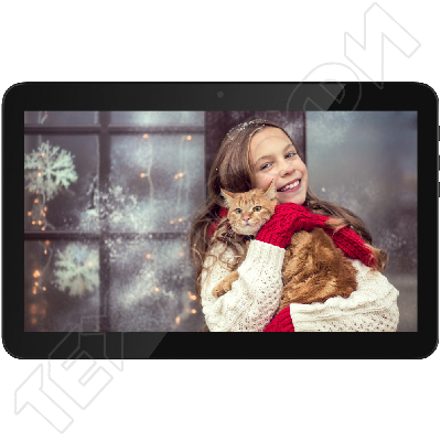 ������ Irbis TZ185