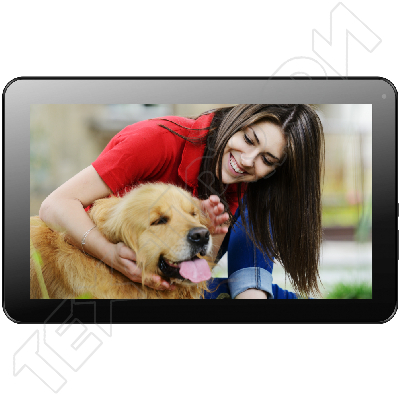 ������ Irbis TZ21