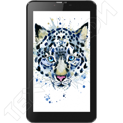 ������ Irbis TZ60