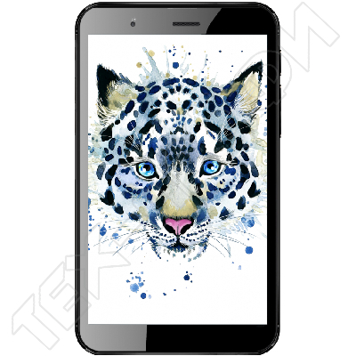 ������ Irbis TZ62b