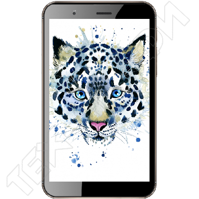 ������ Irbis TZ62g