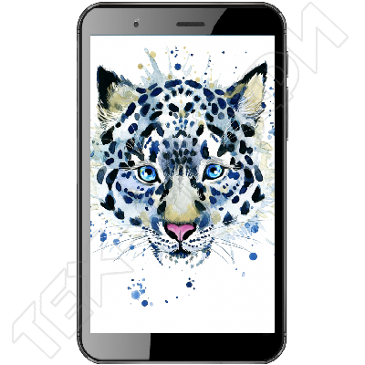 ������ Irbis TZ62s