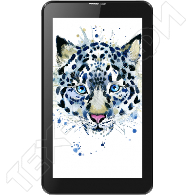 ������ Irbis TZ63L