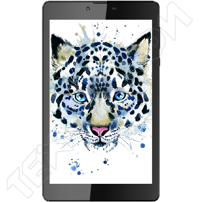 ������ Irbis TZ738