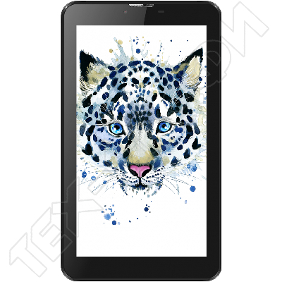 ������ Irbis TZ761