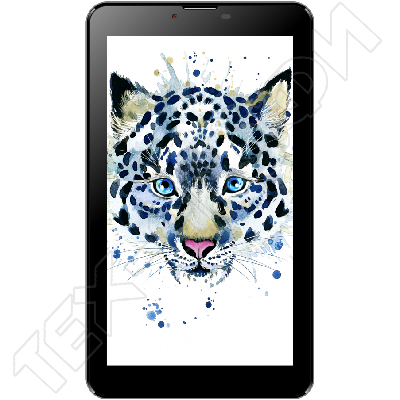 ������ Irbis TZ765