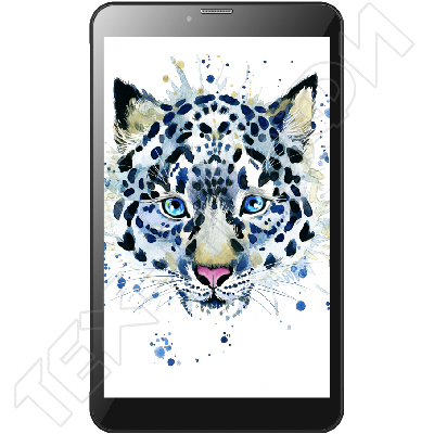 ������ Irbis TZ80