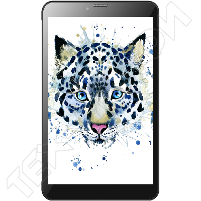 ������ Irbis TZ853