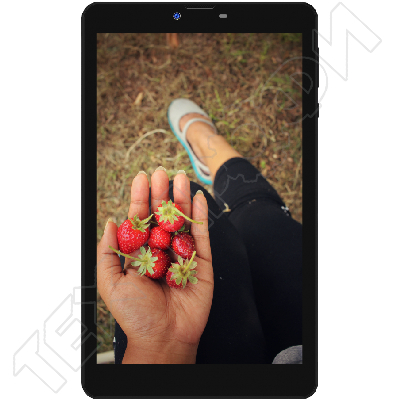 ������ Irbis TZ857