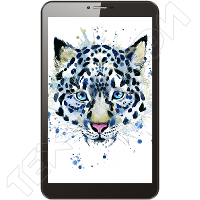 ������ Irbis TZ861