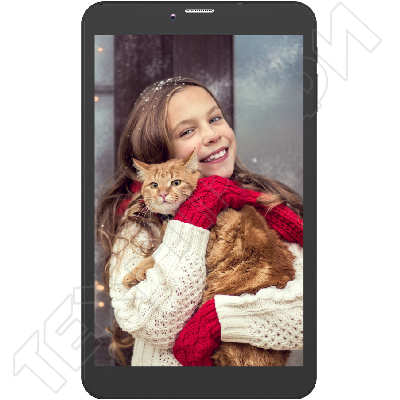 ������ Irbis TZ871