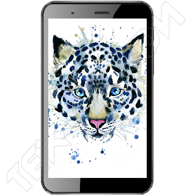 ������ Irbis TZarts