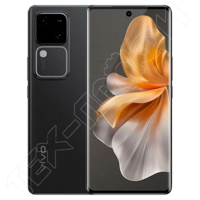 ������ Vivo V30