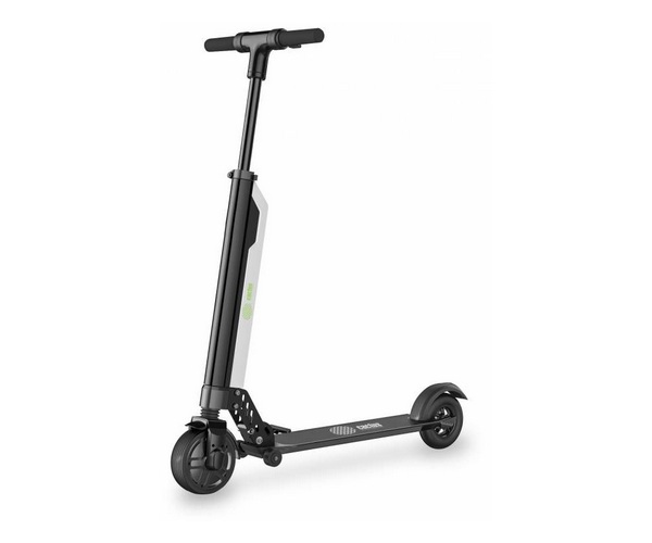 ������ ���������������� Cactus