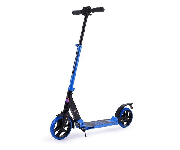 ������ ���������������� Playshion