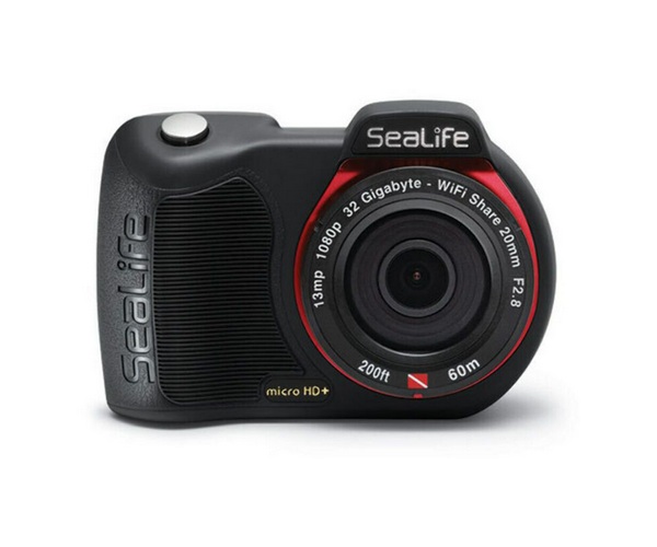 ������ ������������� Sealife