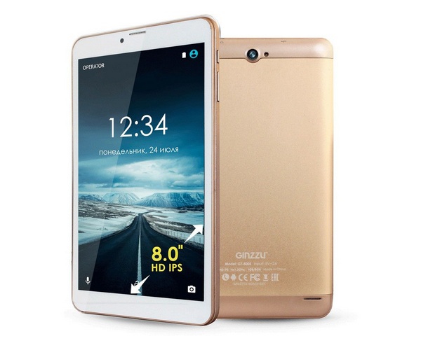 ������ ��������� Ginzzu