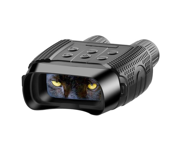 ������ ��� DigiSoon