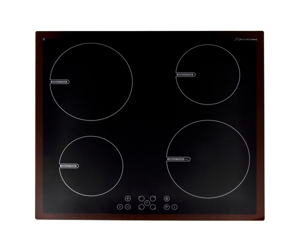 ������ �������� ������� Schaub Lorenz