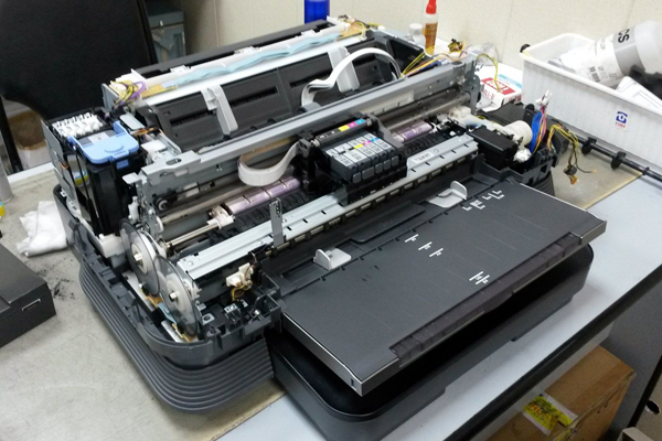 ������ ���������